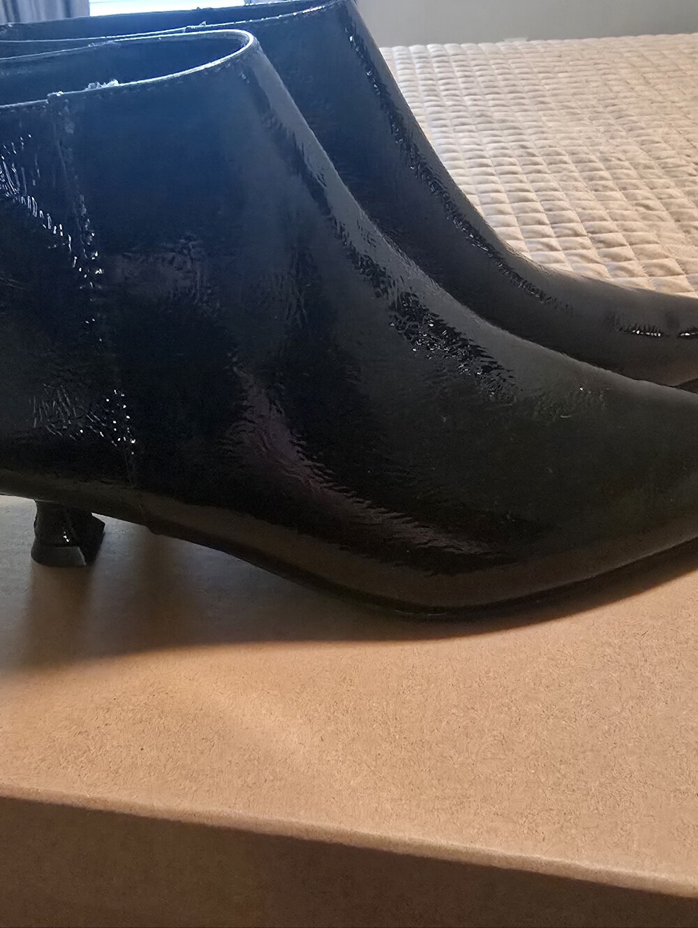 Steve Madden Booties
